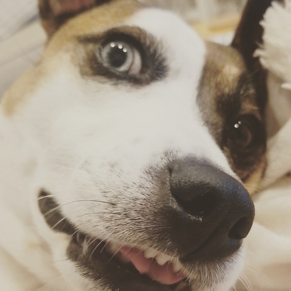 Meet your Posher, Amanda - Picture 2 of 2